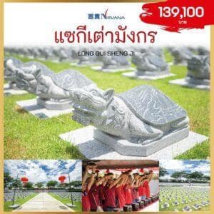 ฮวงจุ้ยขั้นเทพ ทำแล้วเห็นผลทันที 1 แซกีเต่ามังกร