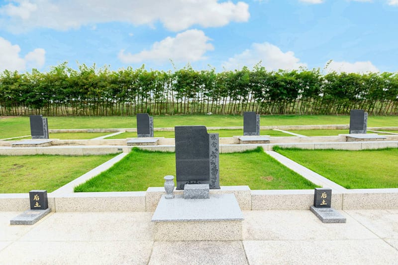 แปลงฝังโซนดี 2 แปลงฝังโซนดี