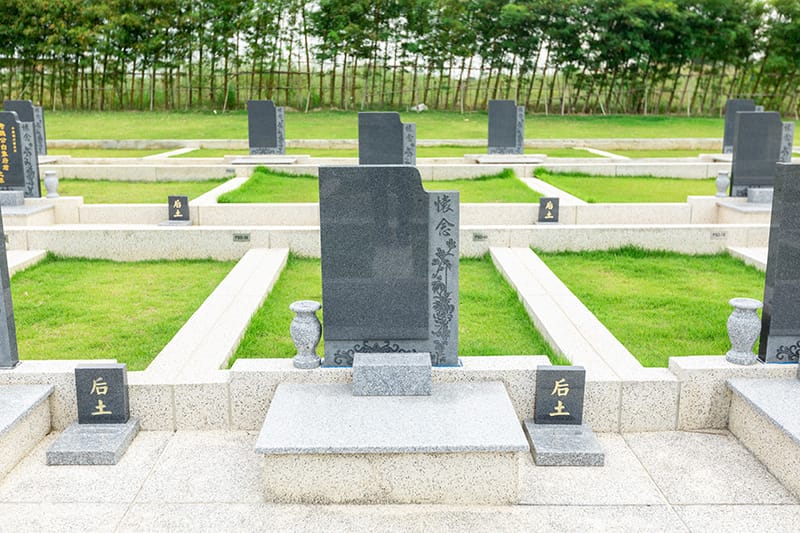 แปลงฝังโซนดีแบบเดี่ยว