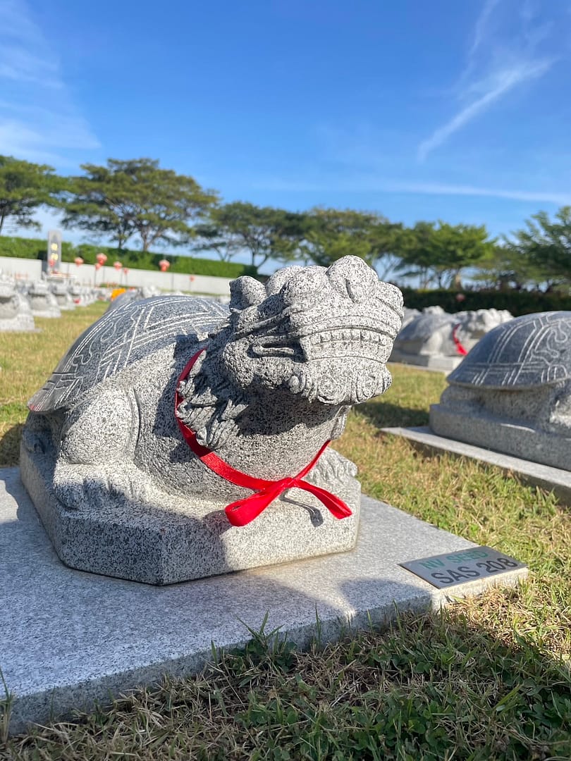 แซกีเต่ามังกรเสริมดวง 1 แซกีเต่ามังกรเสริมดวง